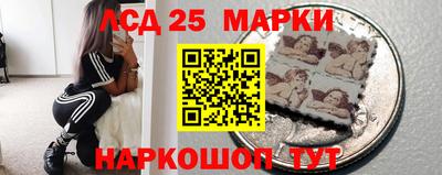 гидра Моздок