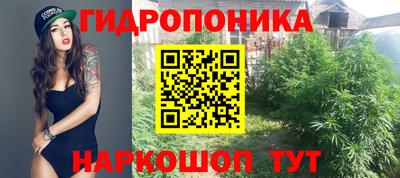 гидра Моздок