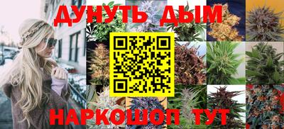 гидра Моздок