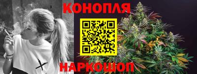 гашик Можга