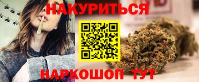 гашик Можга