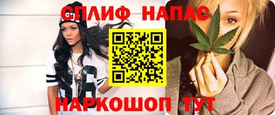 гашик Можга