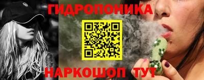гашик Можга