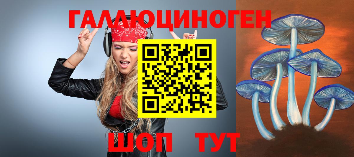 Верхняя Пышма  Псилоцибиновые грибы Magic Shrooms  Вход с VPN  где купить наркоту  Псилоцибиновые грибы Magic Shrooms 